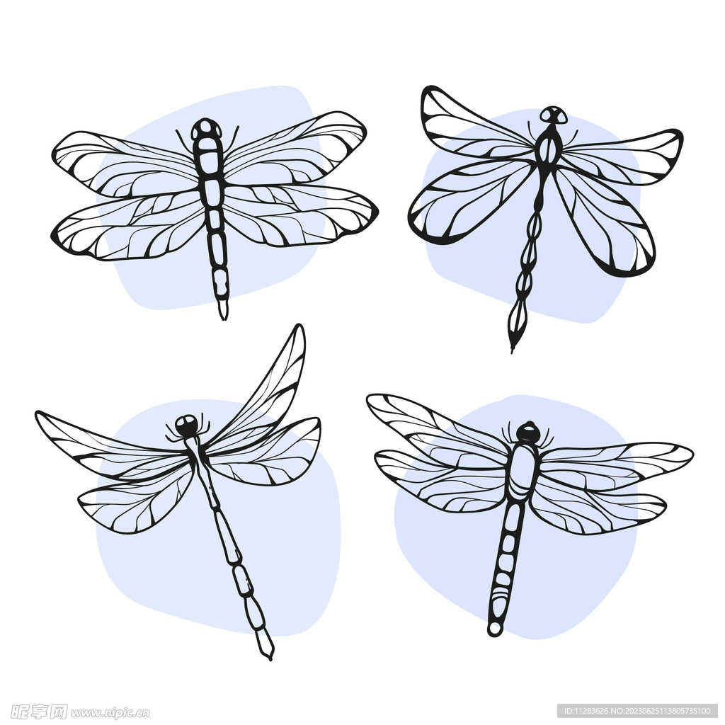 蜻蜓插画