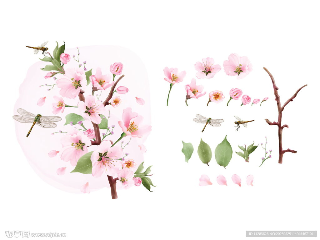 水彩桃花