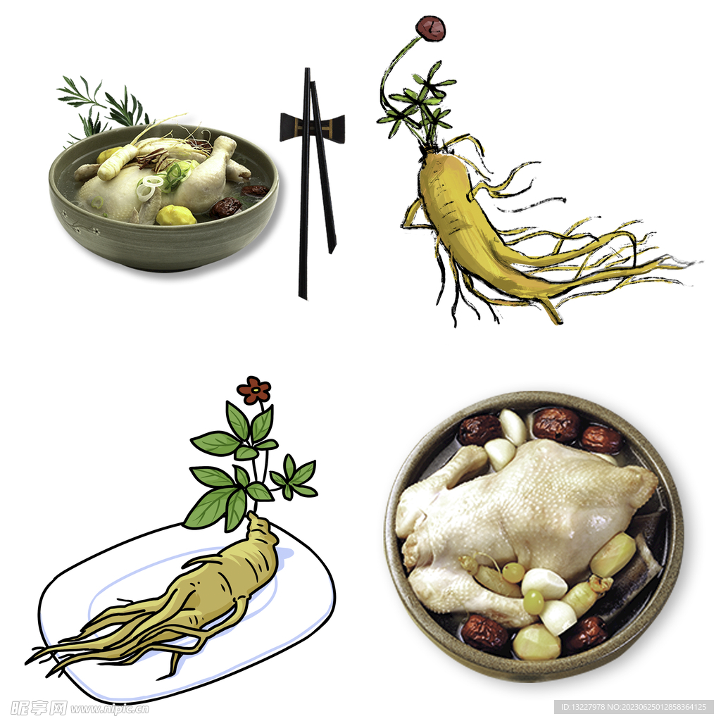 中药药材草药人参西洋参