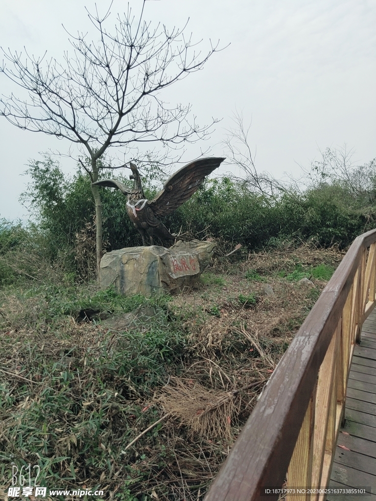 路边风景照片