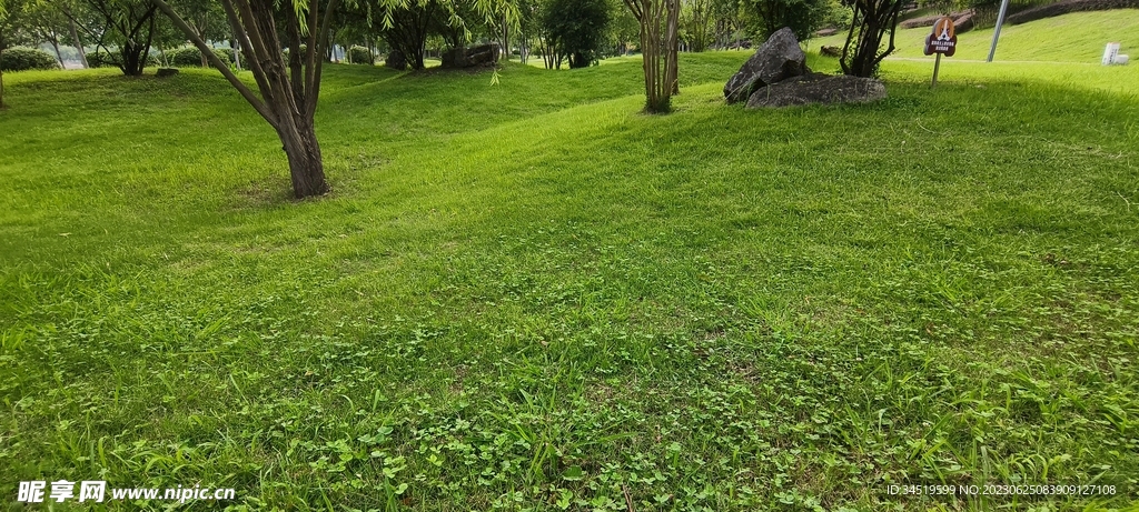 生态公园草地绿树