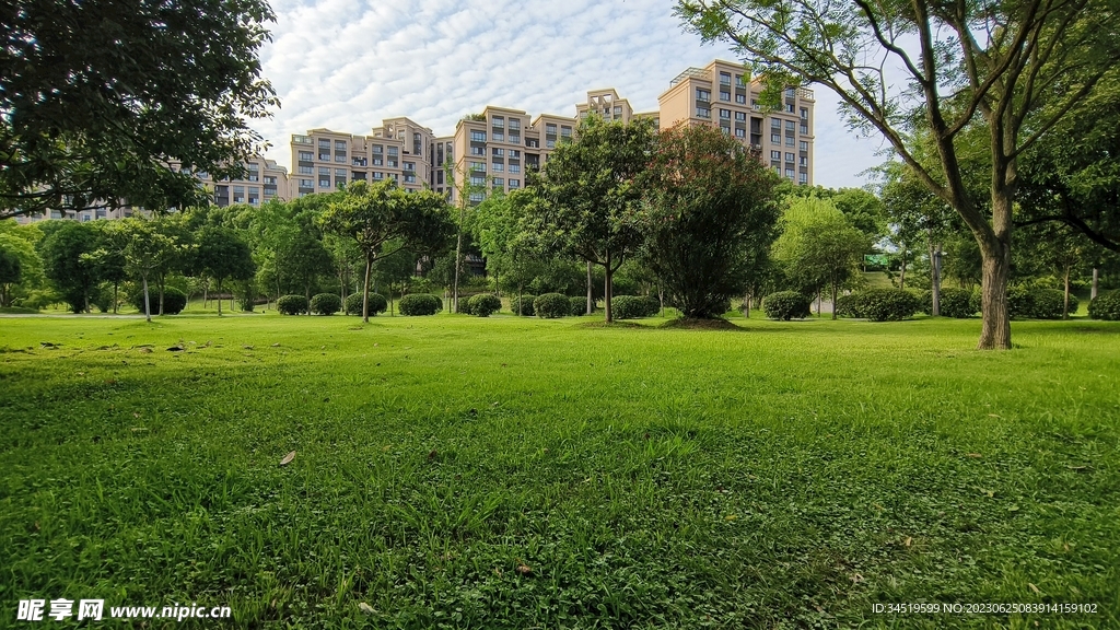 生态公园草地绿树