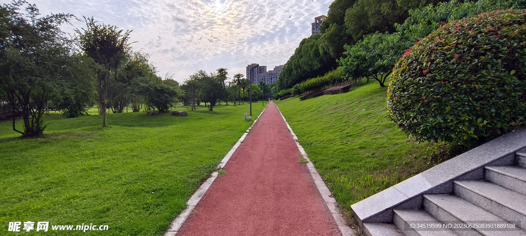 公园步道
