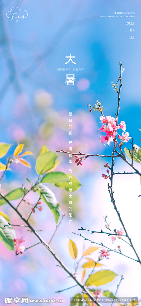 大暑