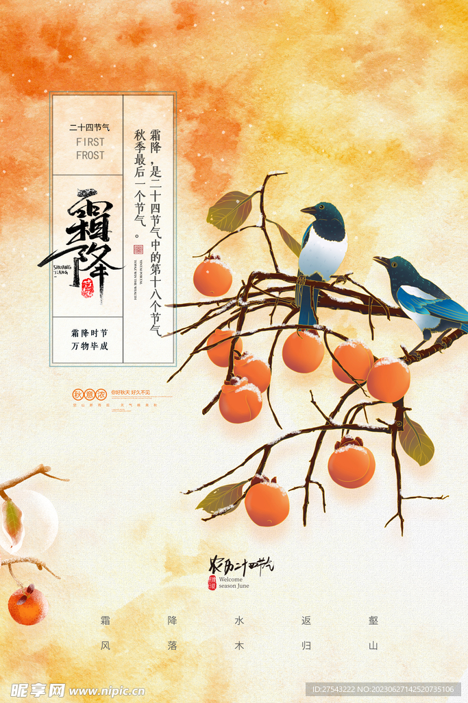 霜降节气海报 