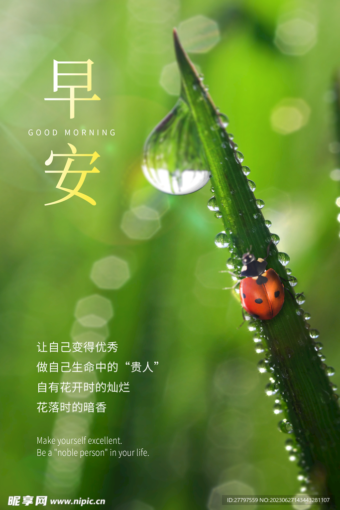 励志早安海报