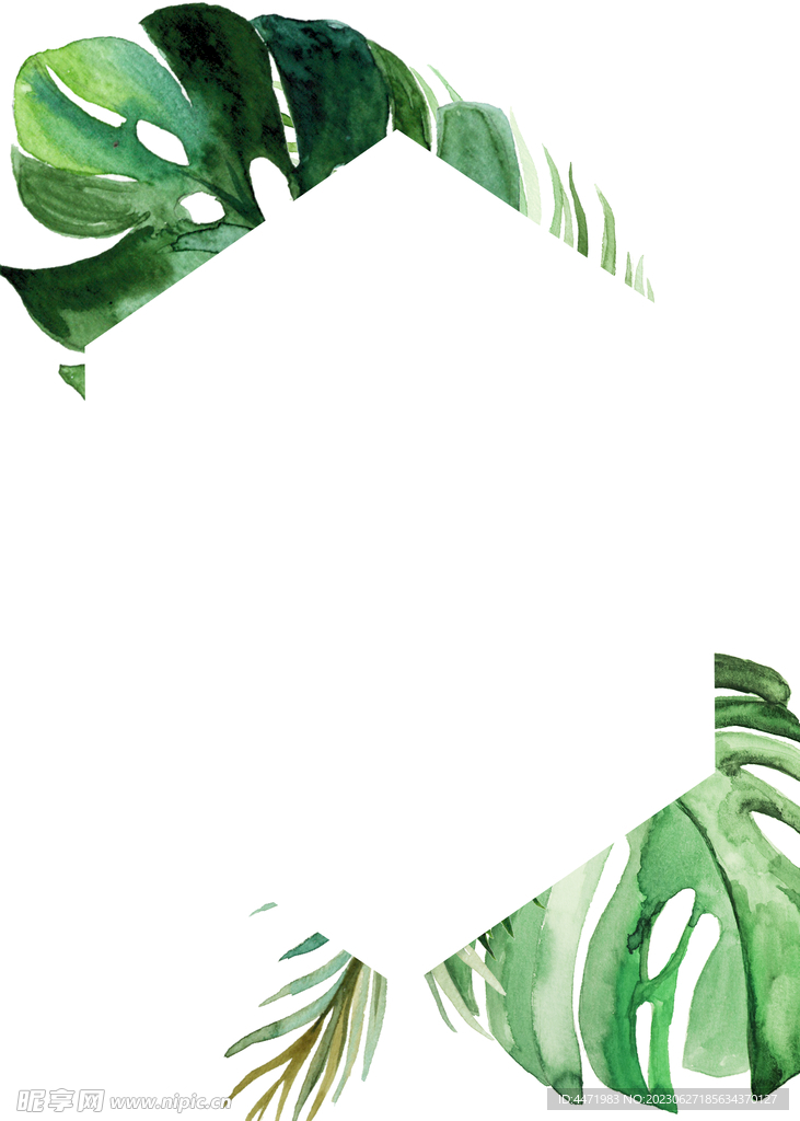水彩绿植边框 