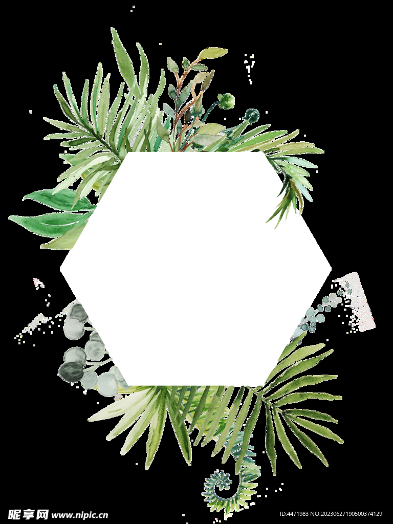 水彩绿植边框 