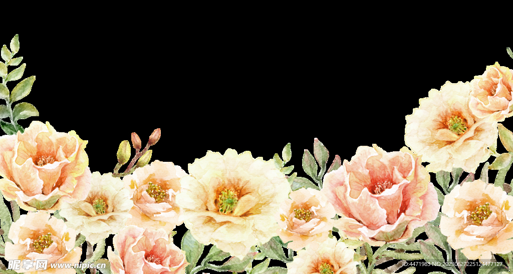 水彩花卉png