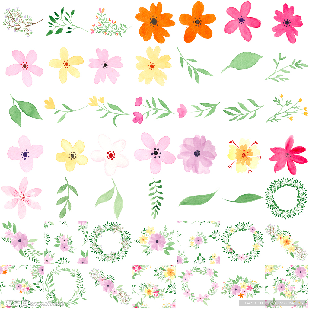 水彩鲜花花卉