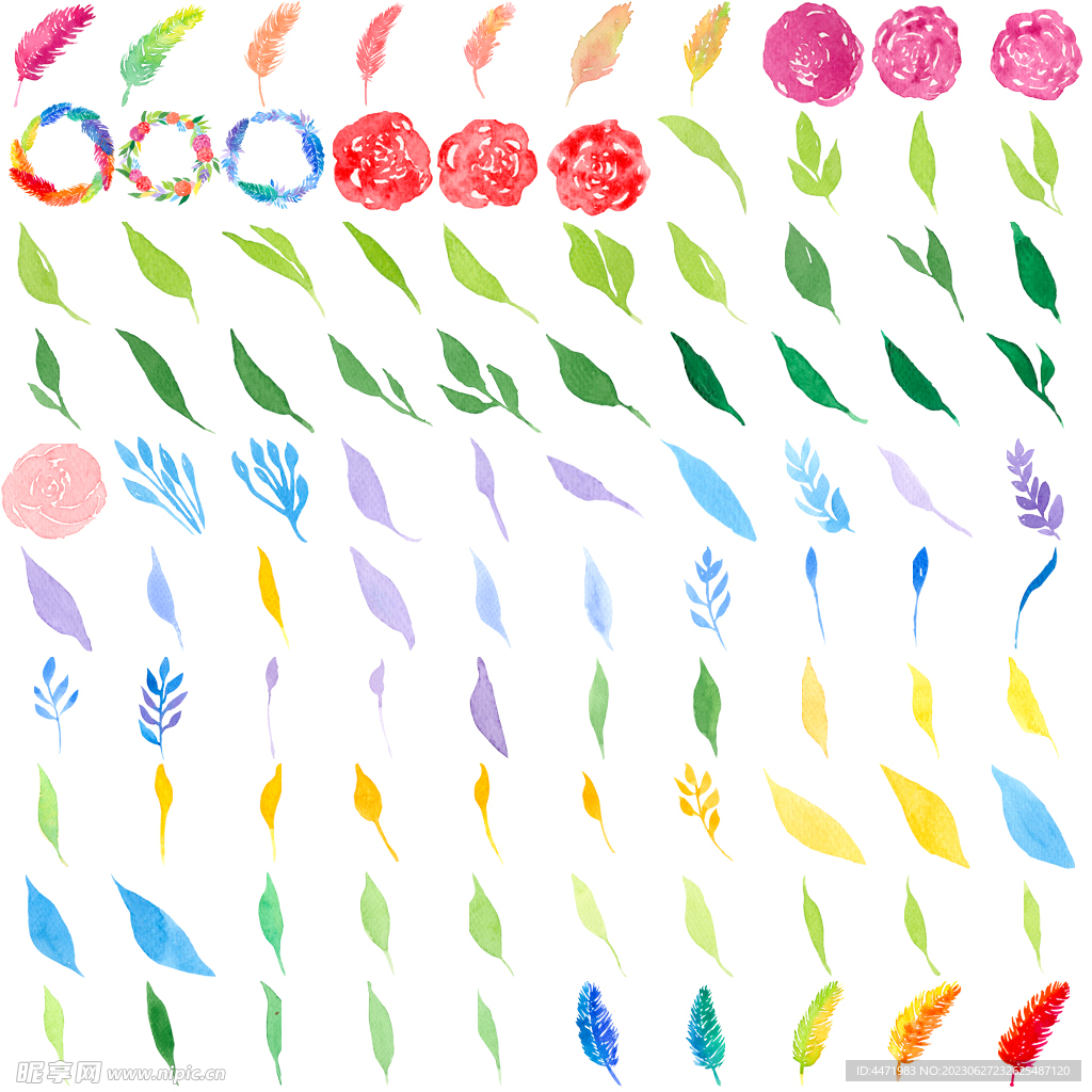 水彩鲜花叶子