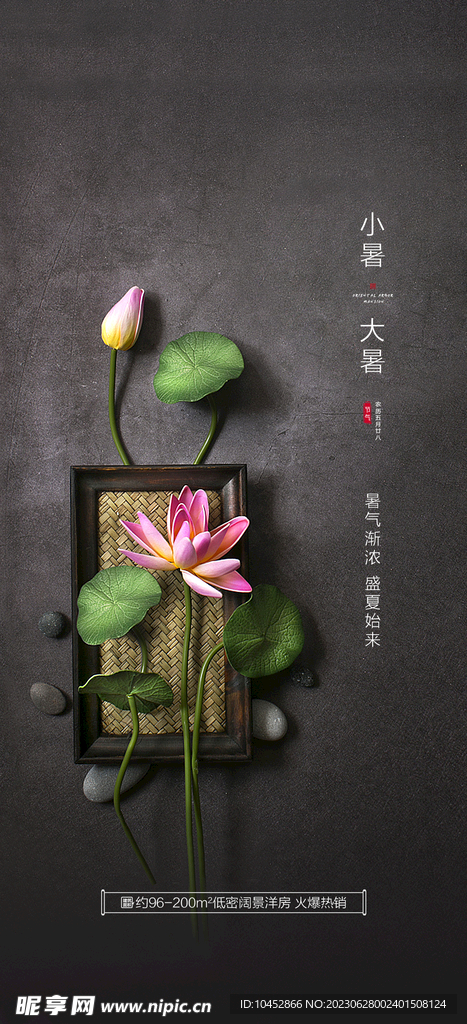 小暑