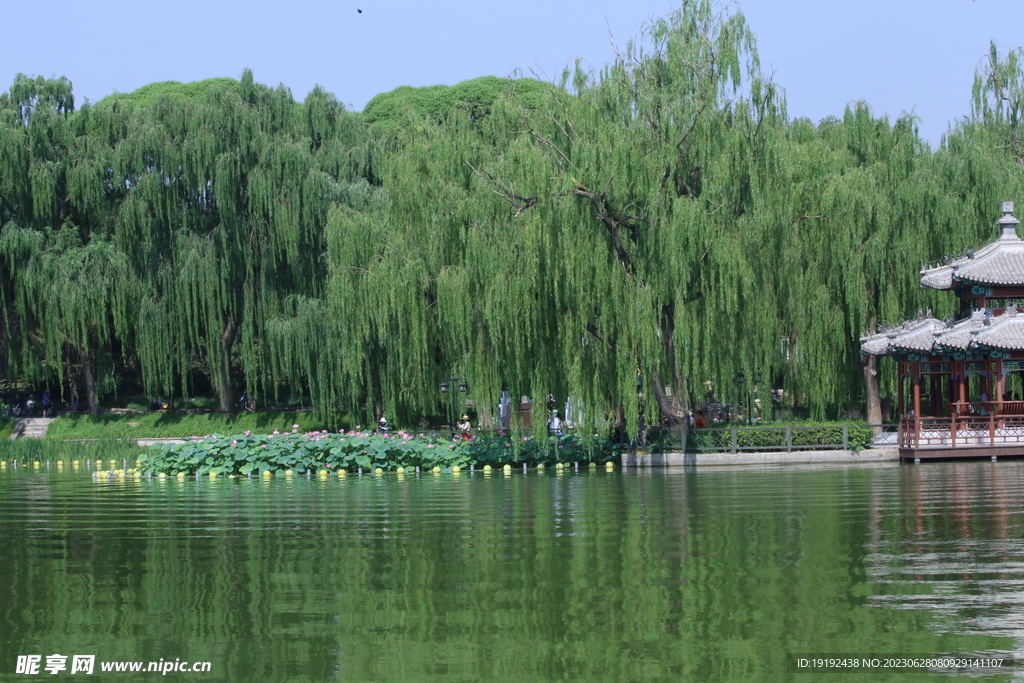 陶然亭风景 
