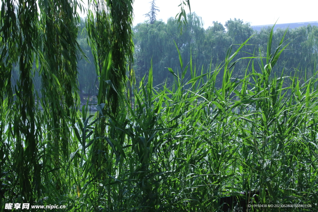 陶然亭风景
