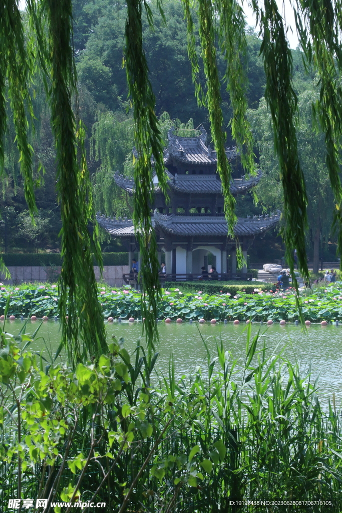 陶然亭风景