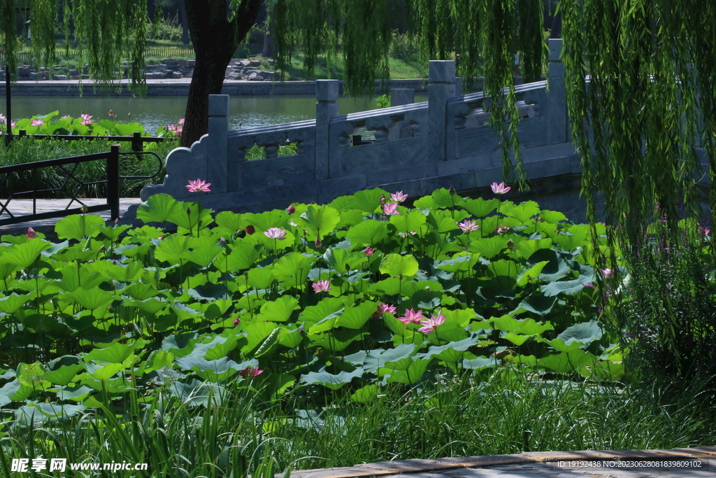 陶然亭风景