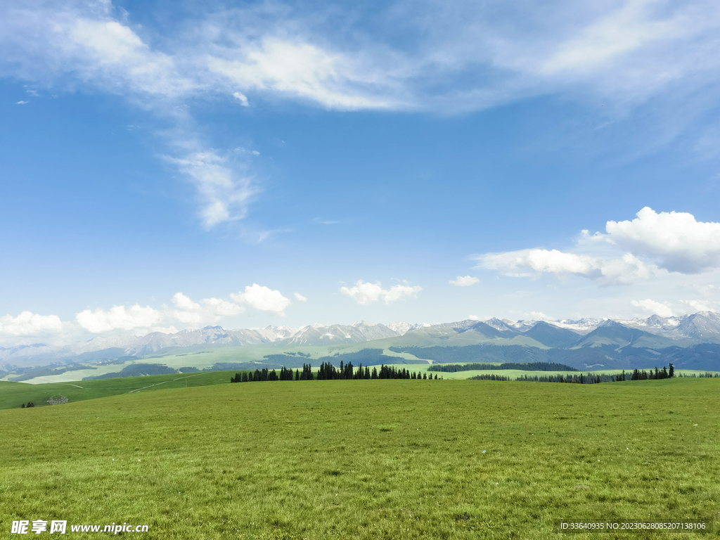 山脉 雪山 草原