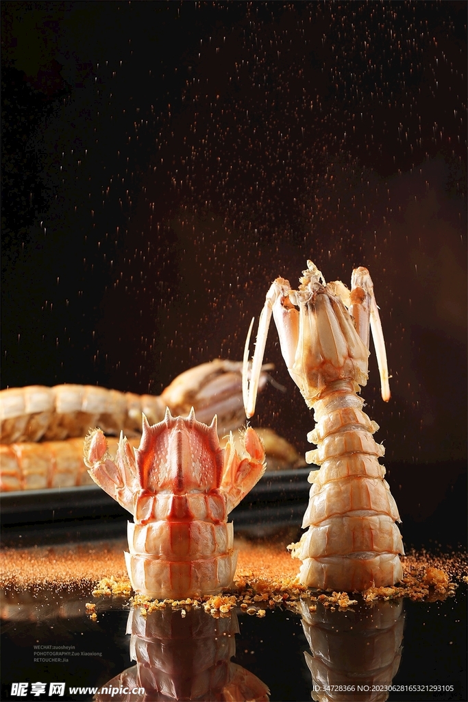 皮皮虾拍照摄影