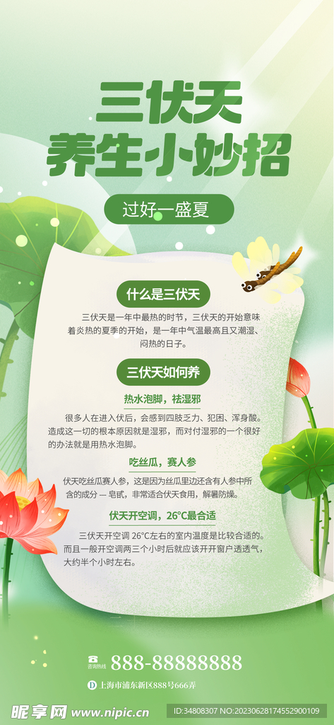 三伏天养生