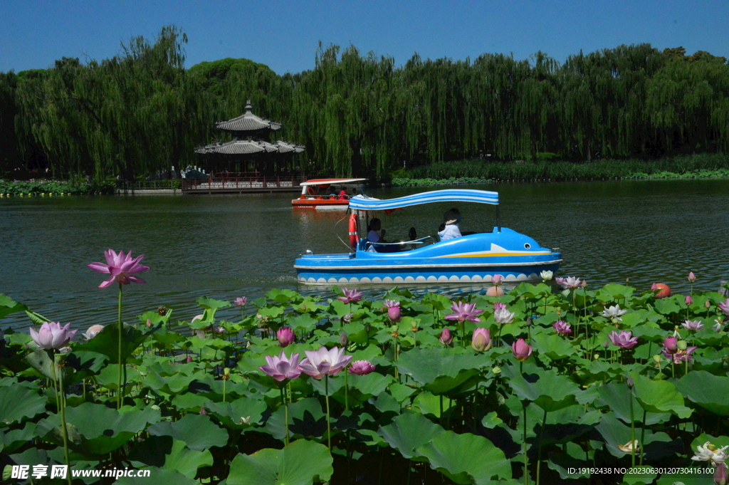 公园风景  