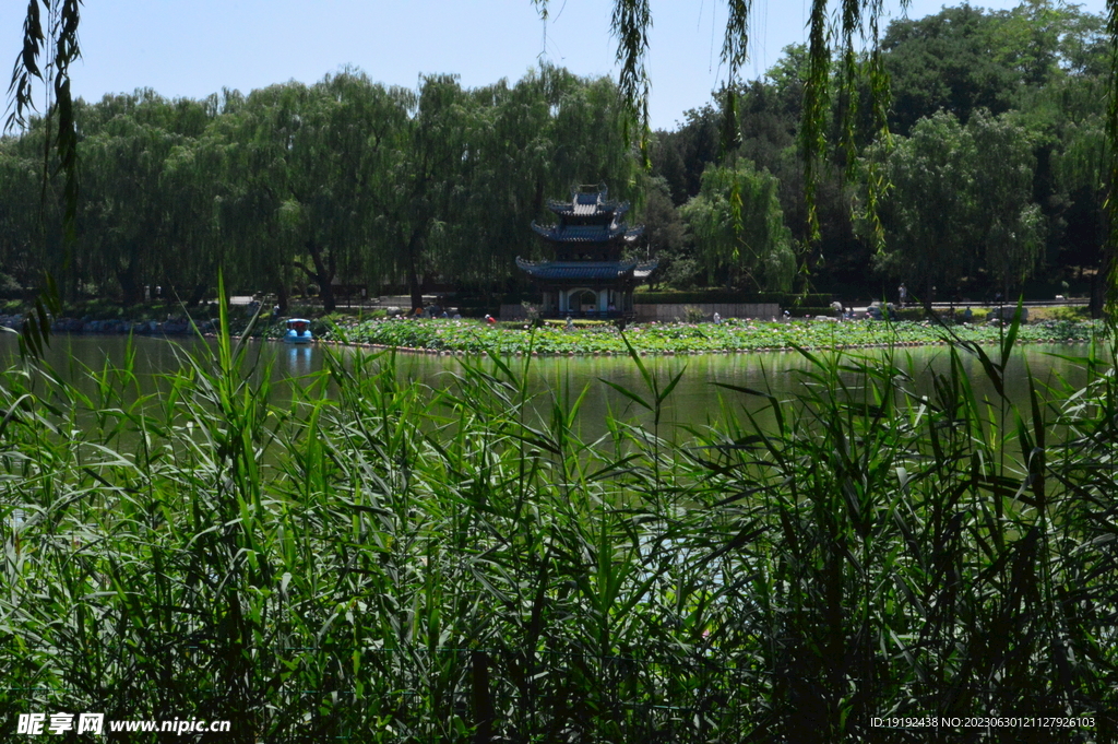 公园风景  