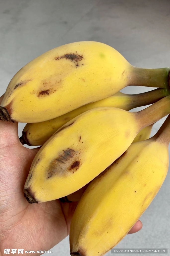 皇帝香蕉