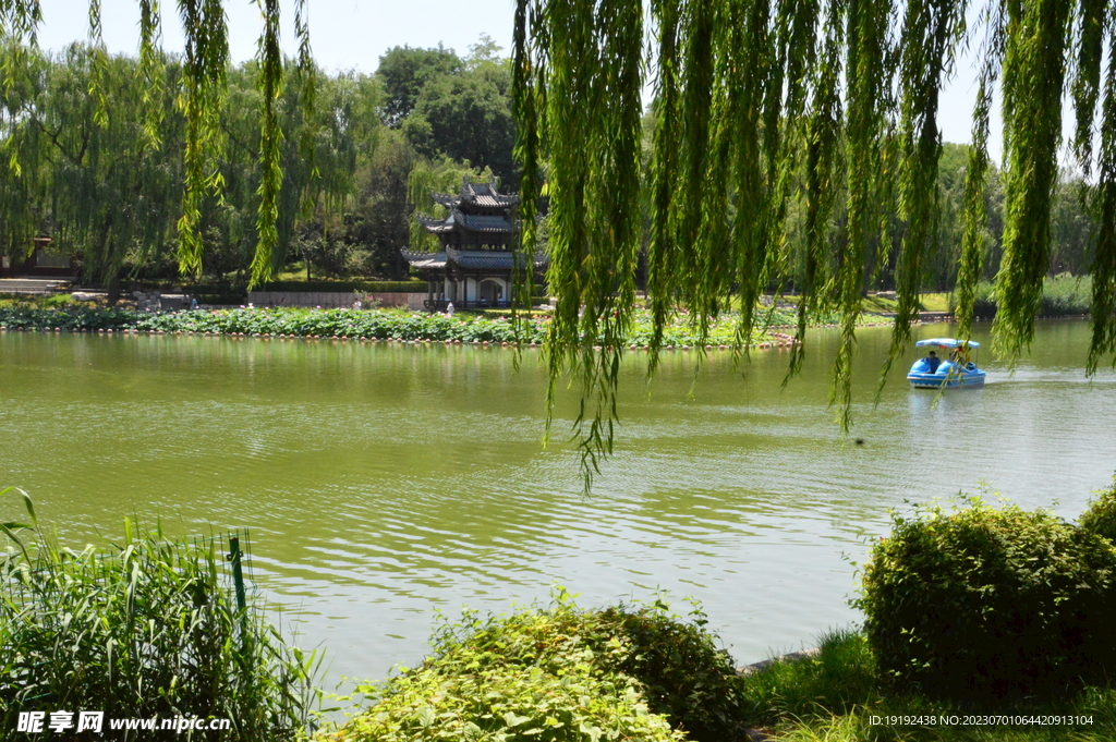 公园风景