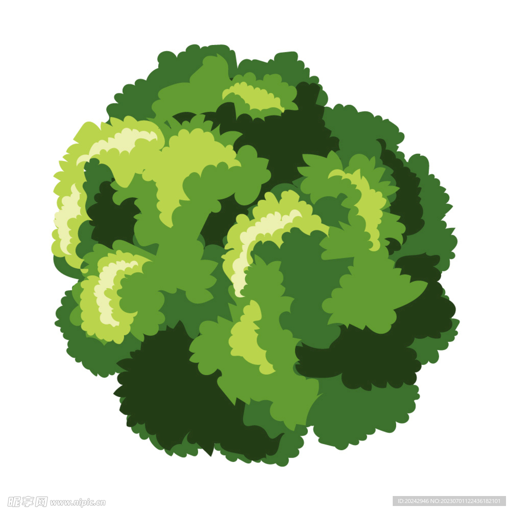 绿色植物  