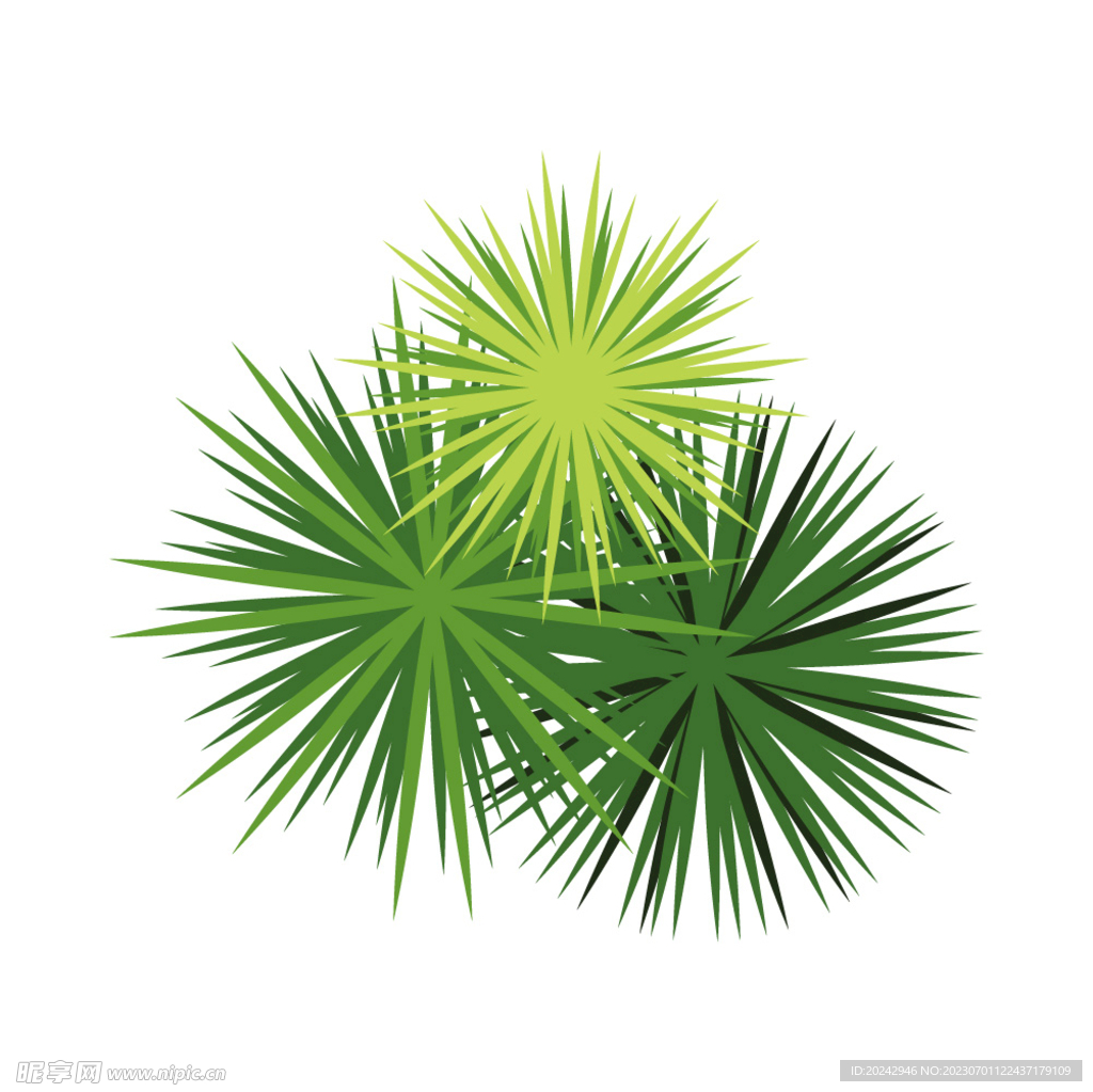 绿色植物 