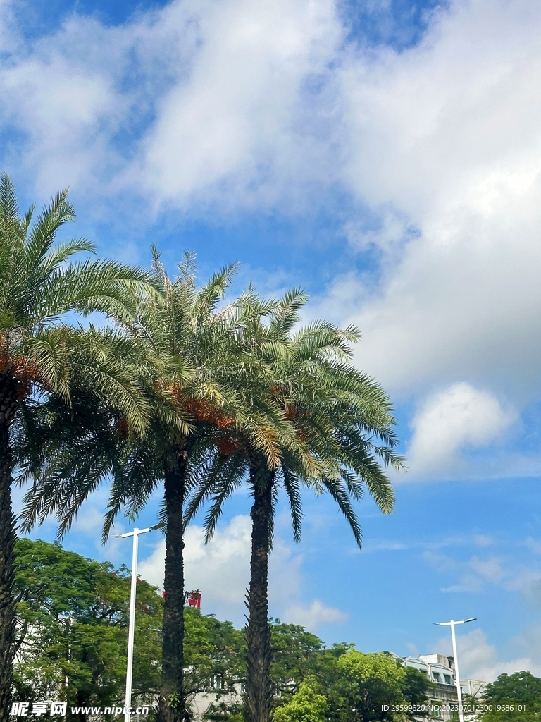 天空