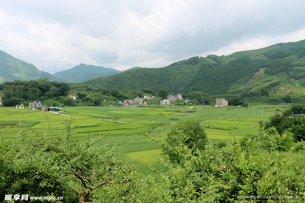 美丽乡村
