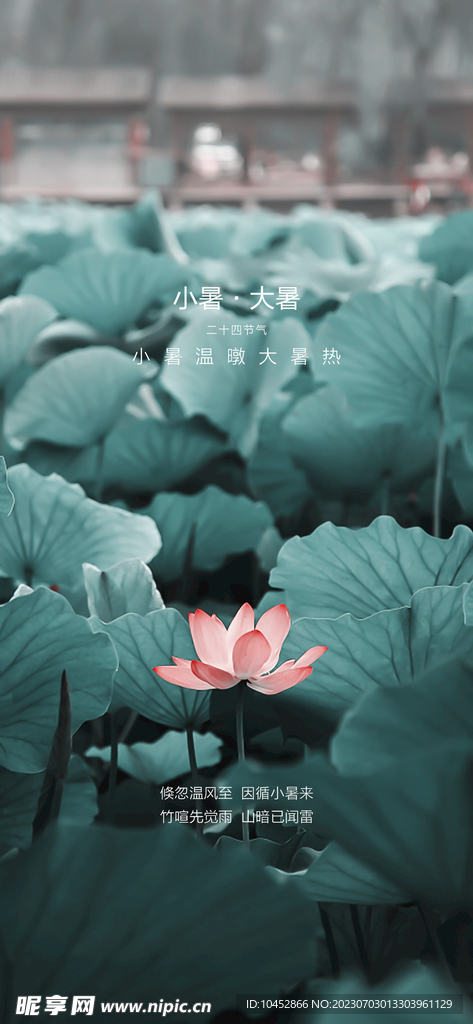 小暑