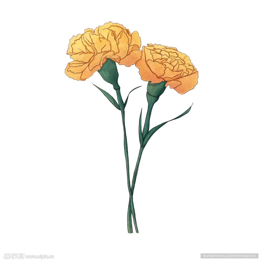 花