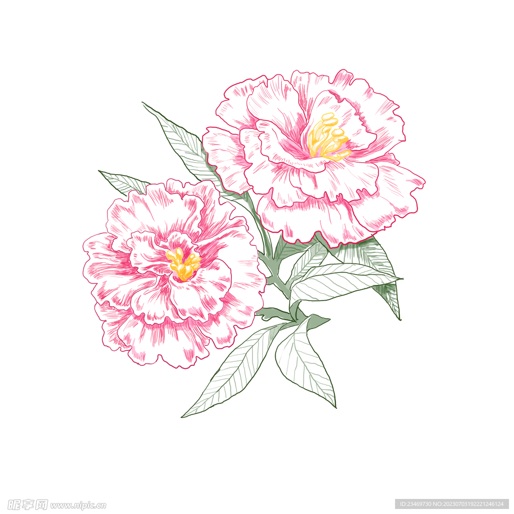 花
