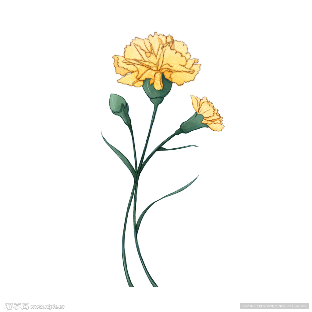 花