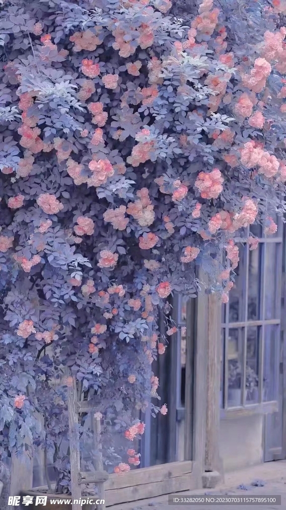花卉