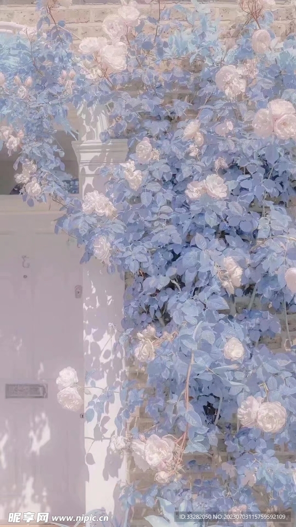 花卉