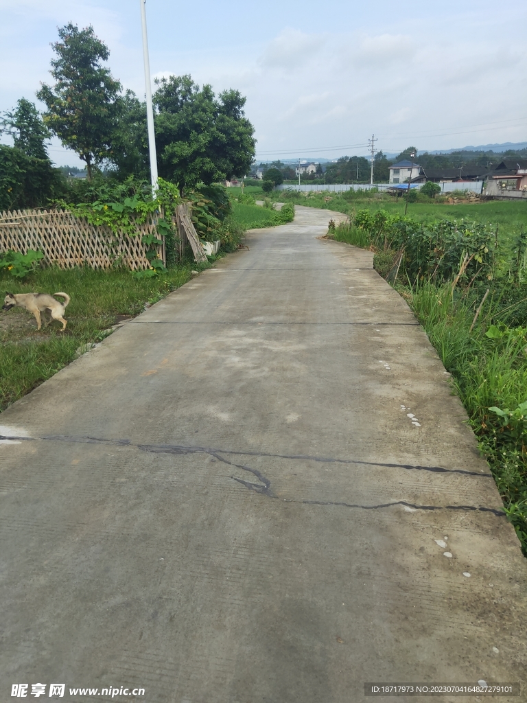 乡间道路