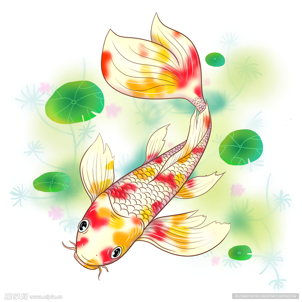 鲤鱼