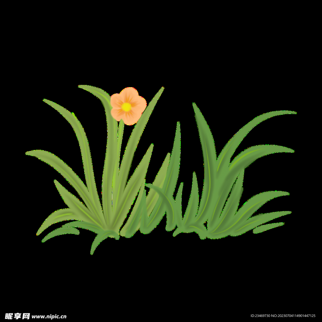 小草