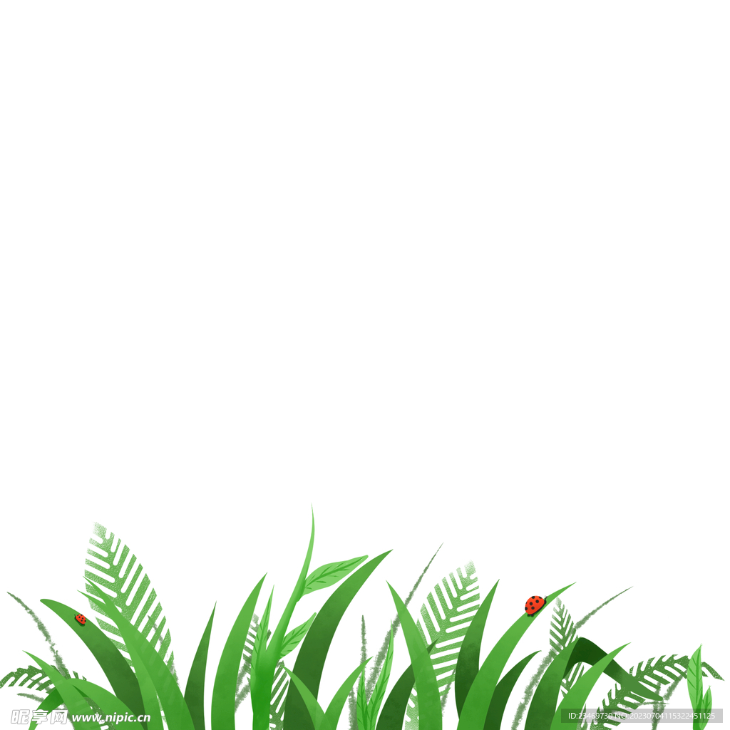 小草