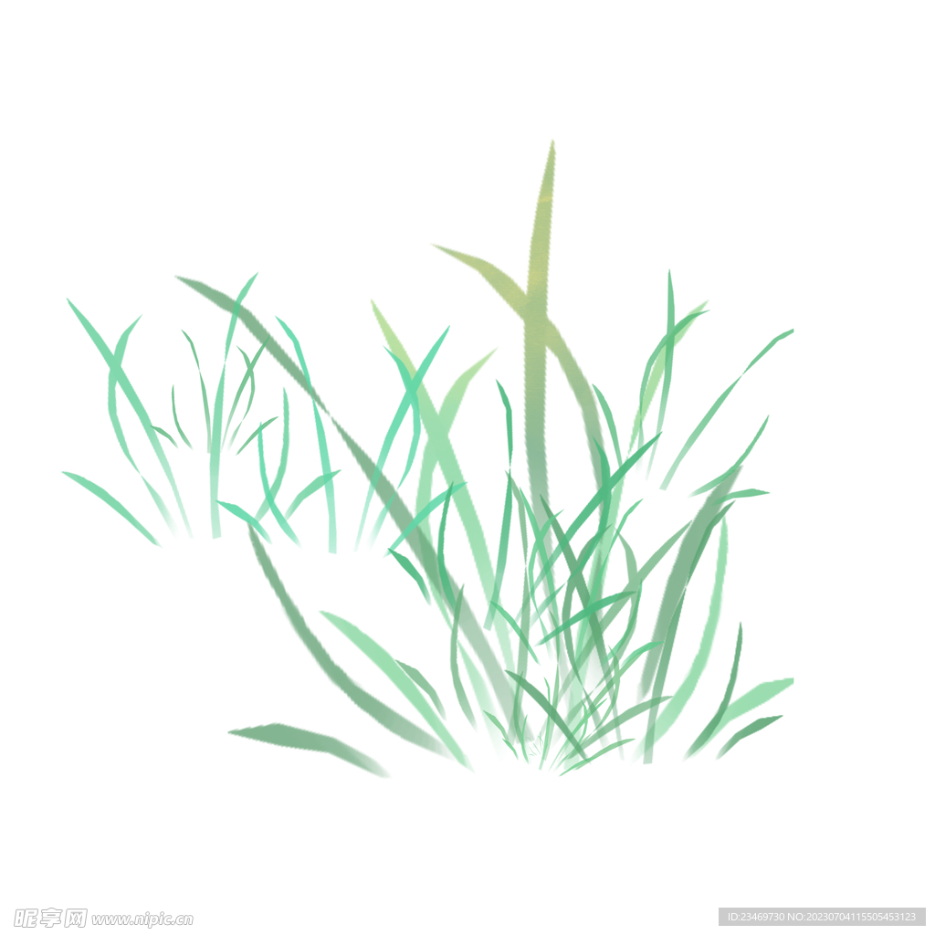 小草
