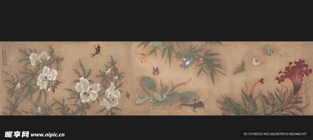 花鸟虫