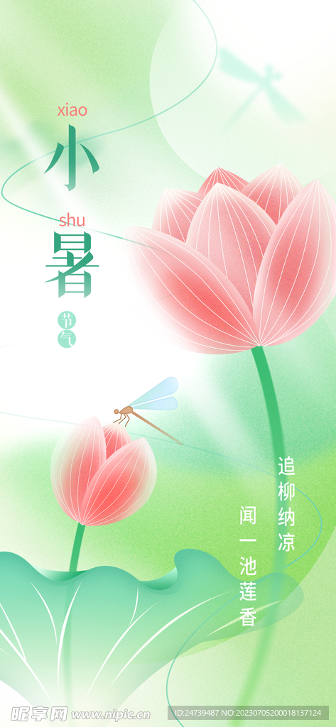 小暑海报