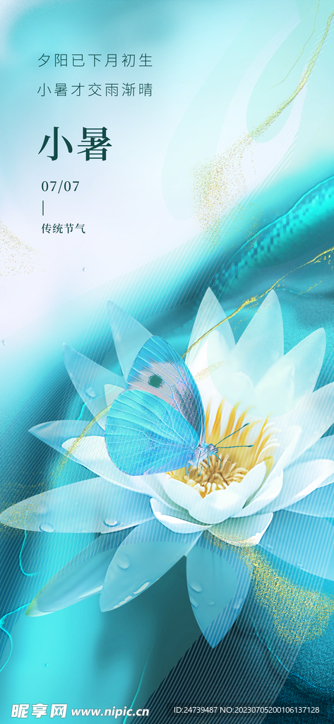 小暑海报