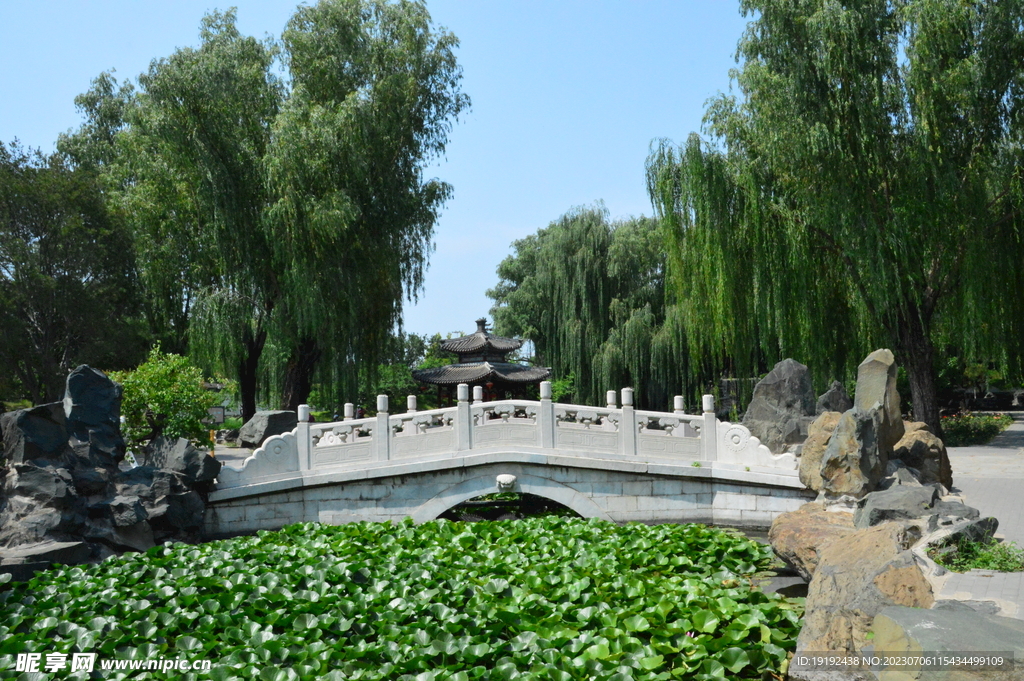 公园风景