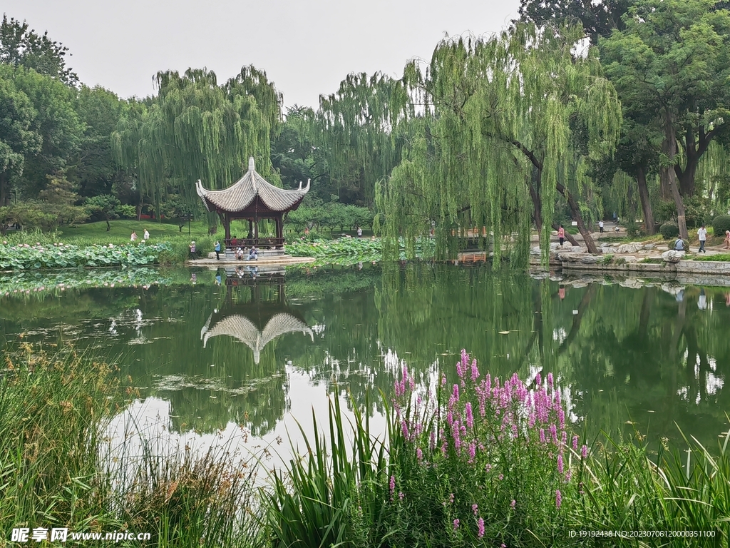 公园风景