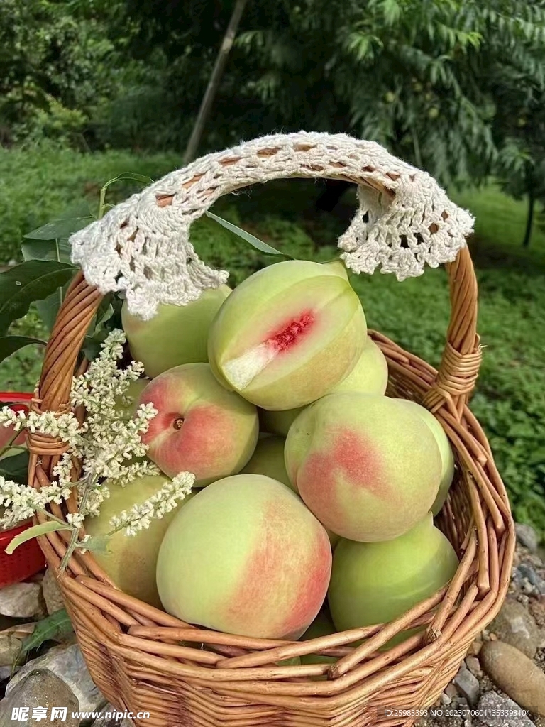 鹰嘴蜜桃