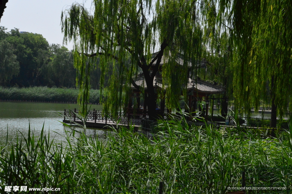 公园风景  