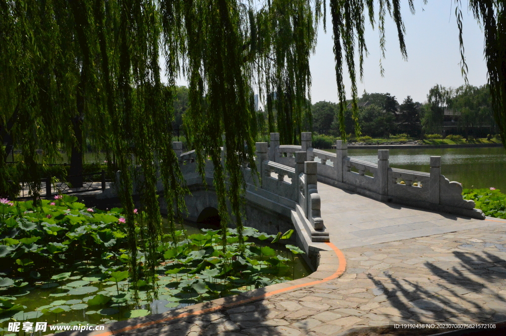 公园风景  